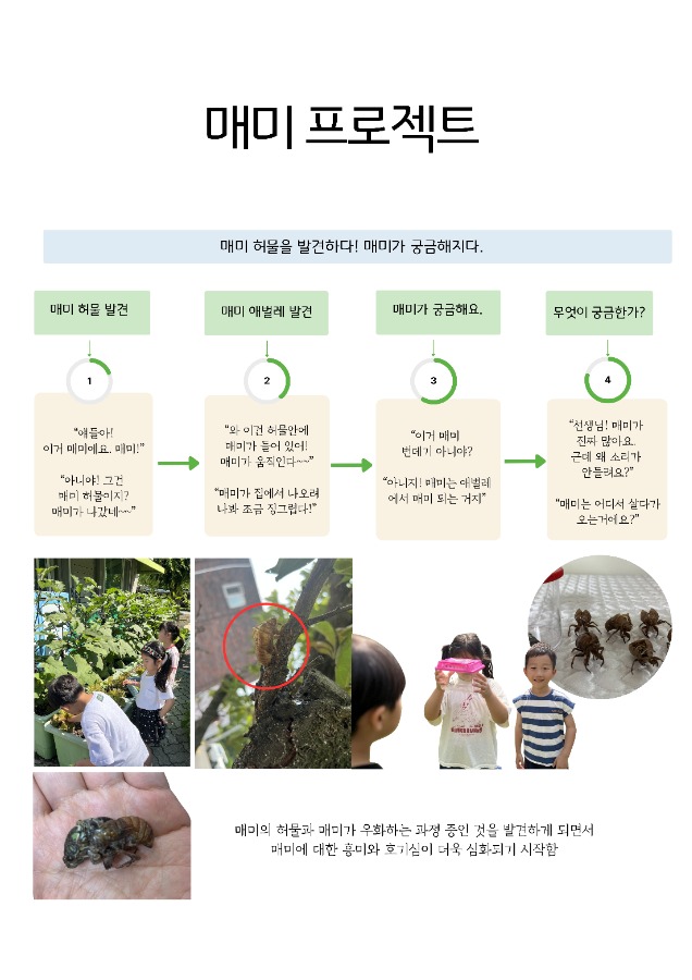 매미 프로젝트 16