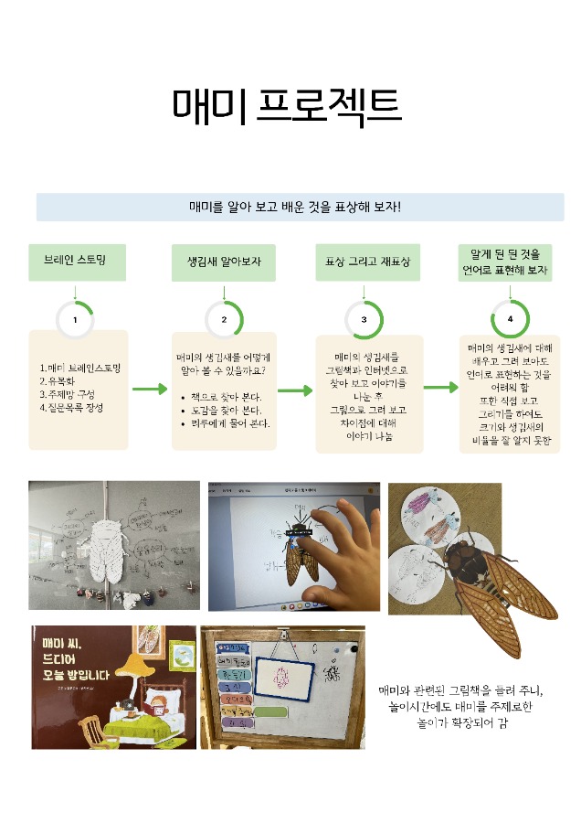 매미 프로젝트 17