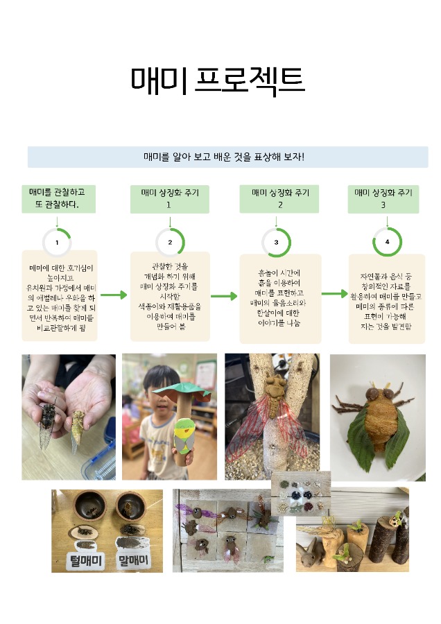 매미 프로젝트 18