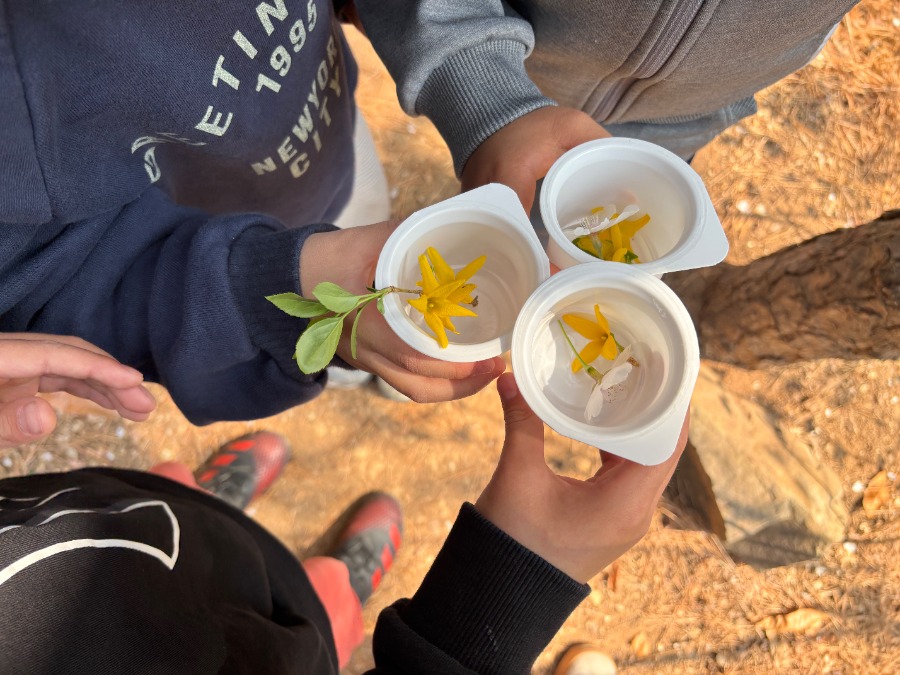 봄꽃을 찾았어요